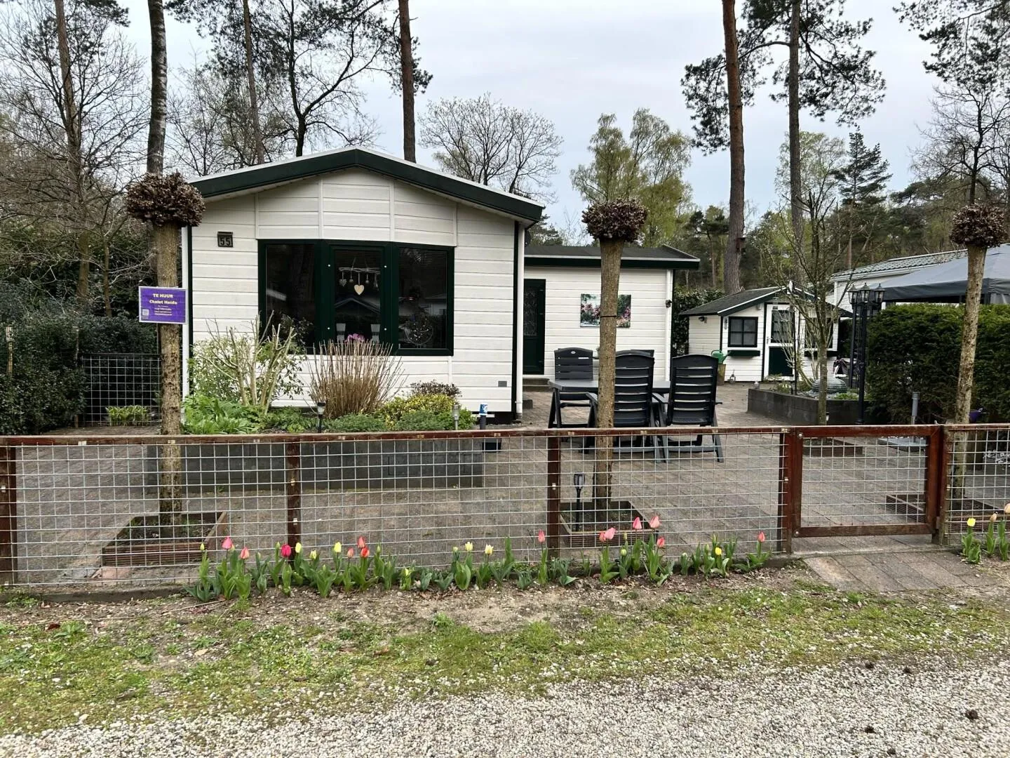 Modern vakantiehuis voor 6 personen in Gelderland - foto 15
