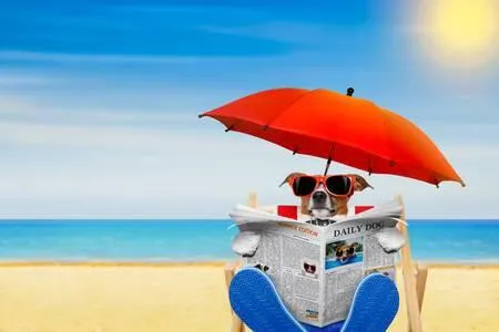 Vakantiehuizen met hond
