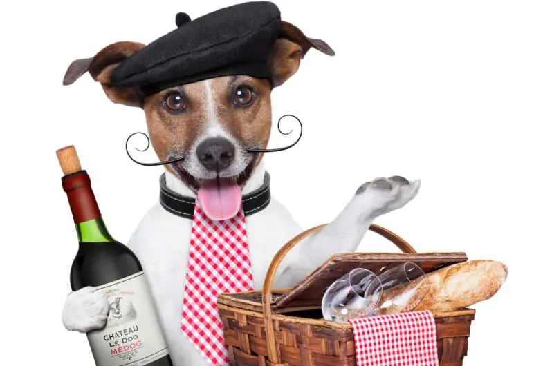 Vakantiehuizen met hond