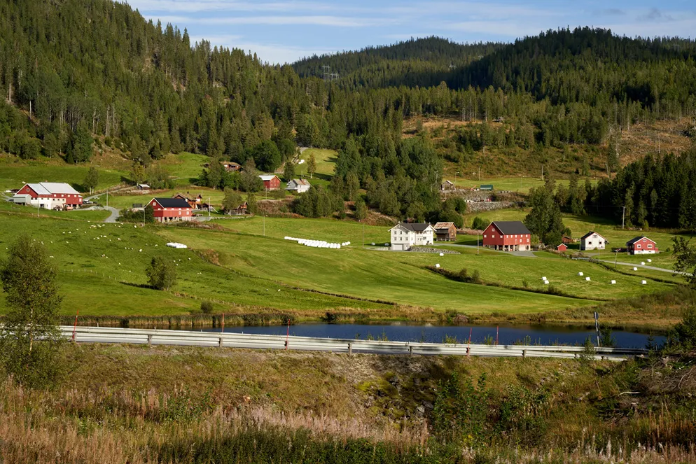 Telemark
