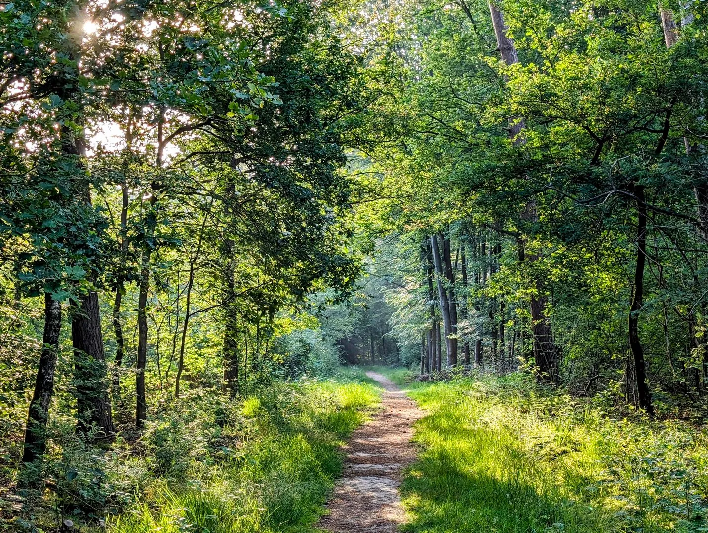 Gelderland