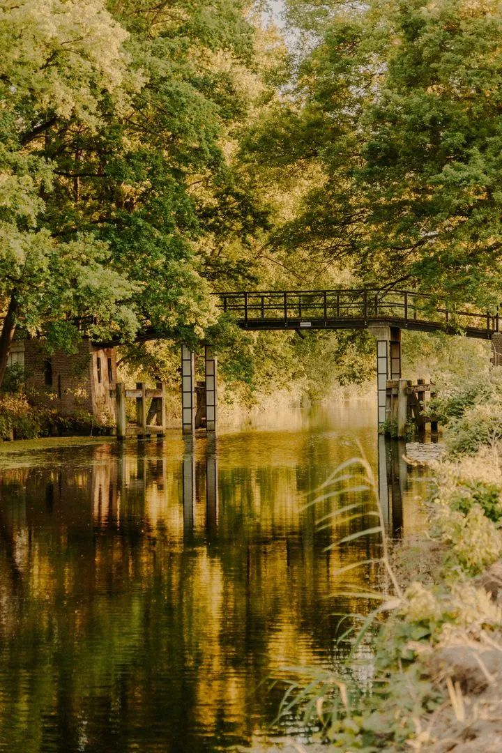 Noord-Brabant