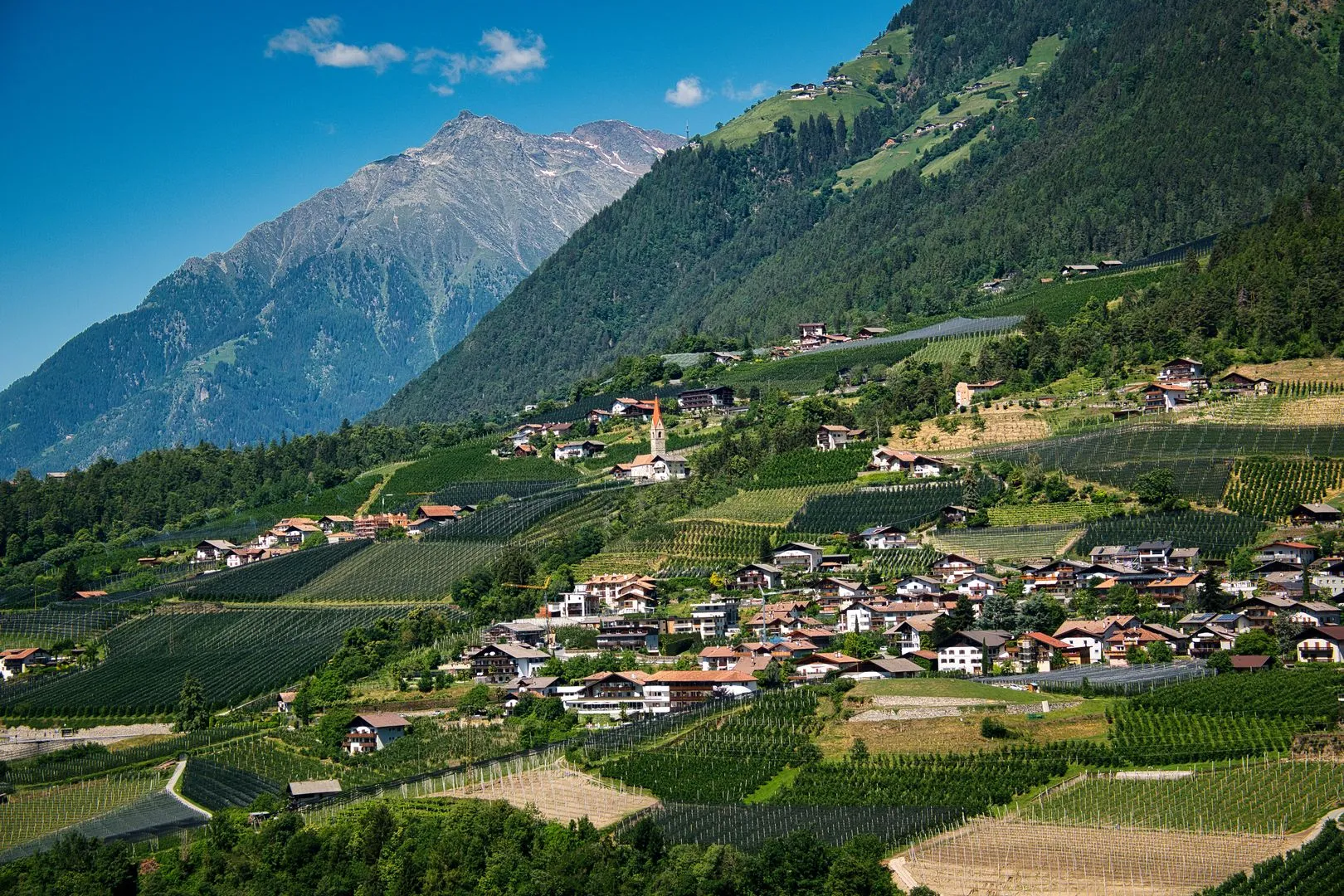 TIROL