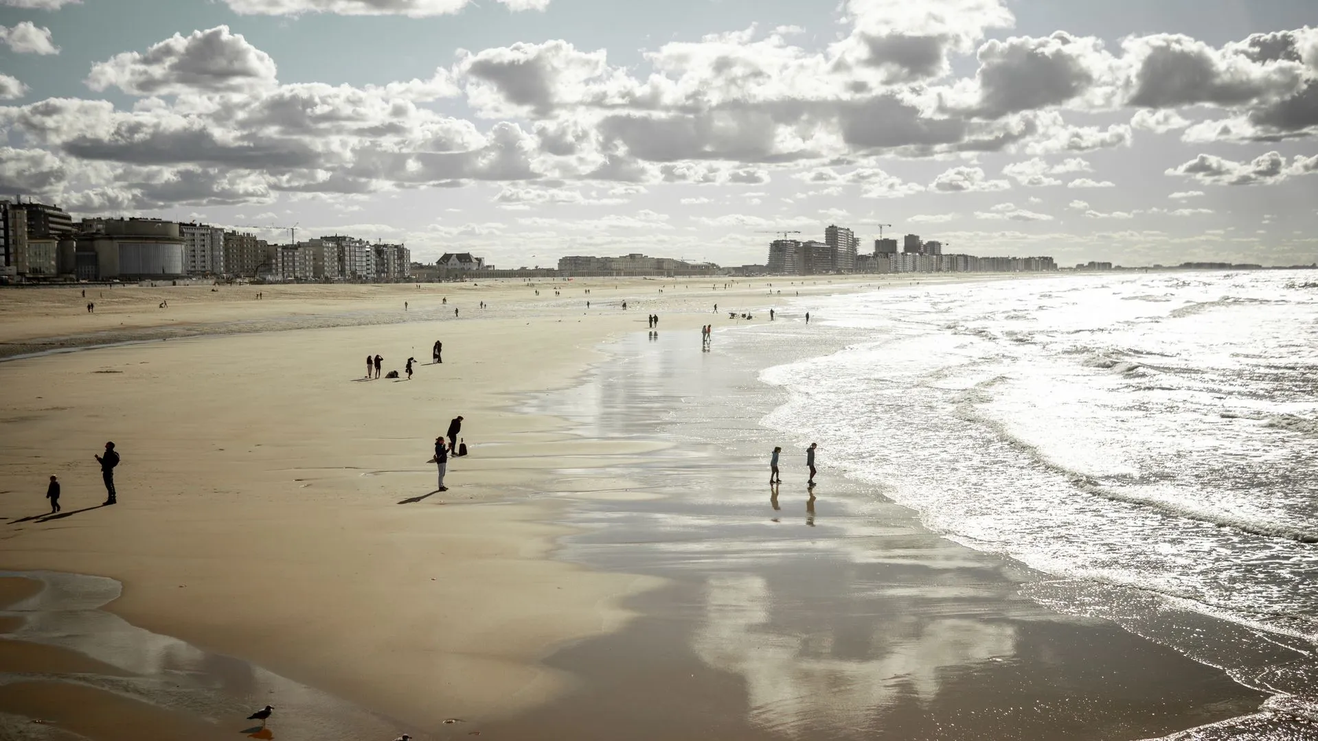 BELGISCHE KUST